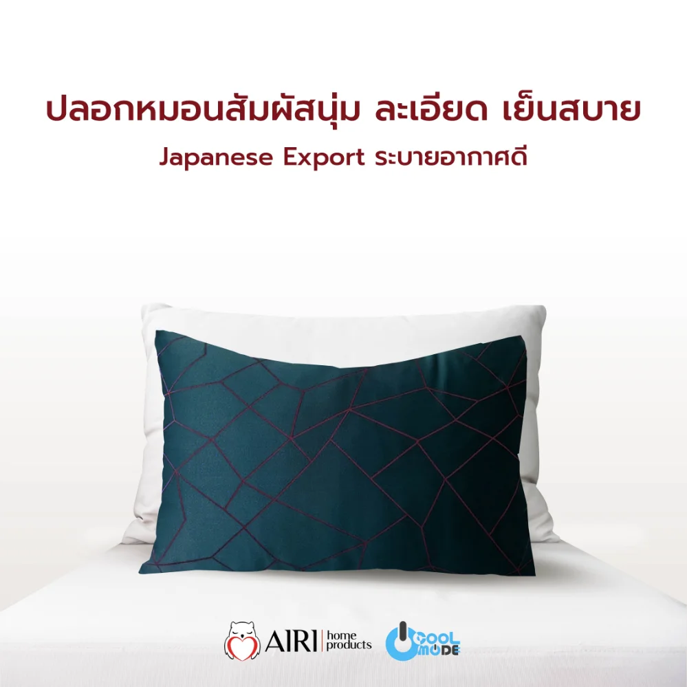 รูปปลอกหมอน3