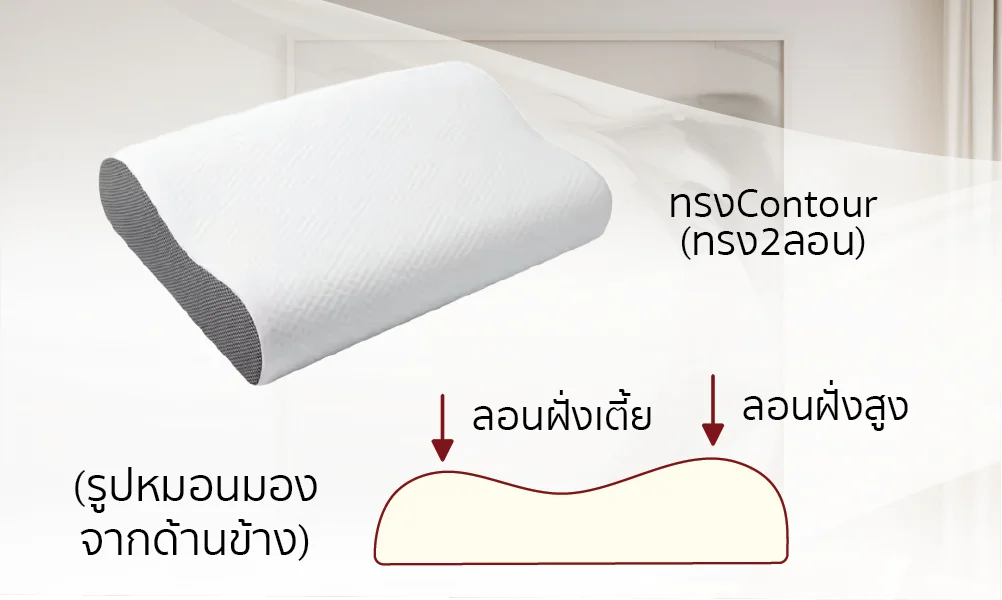 หมอนเมมโมรี่โฟมContour