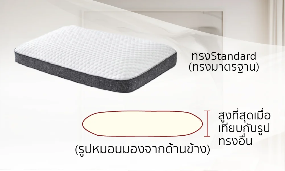 หมอนเมมโมรี่โฟมทรงStandard