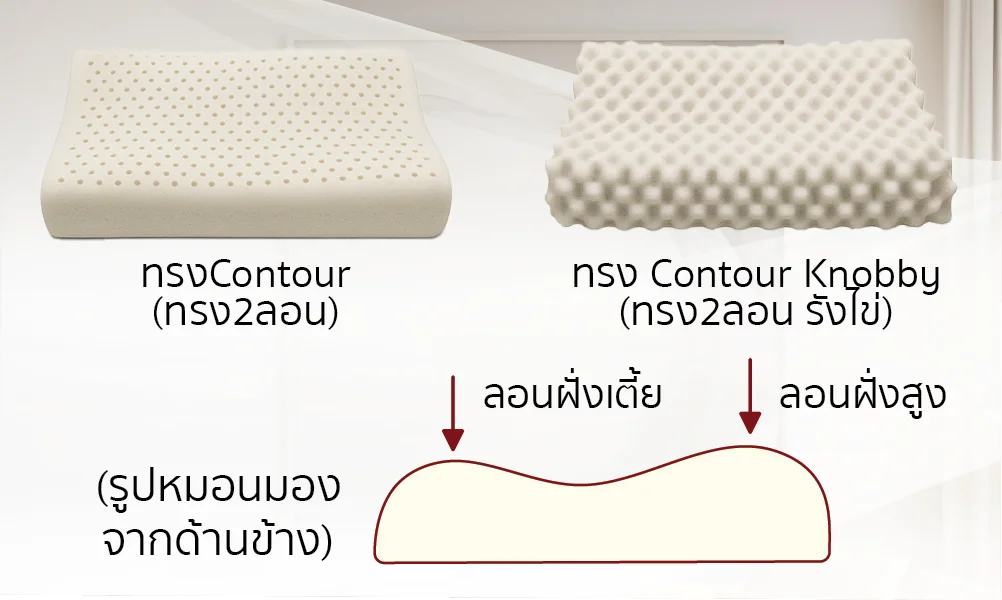หมอนยางพาราContour