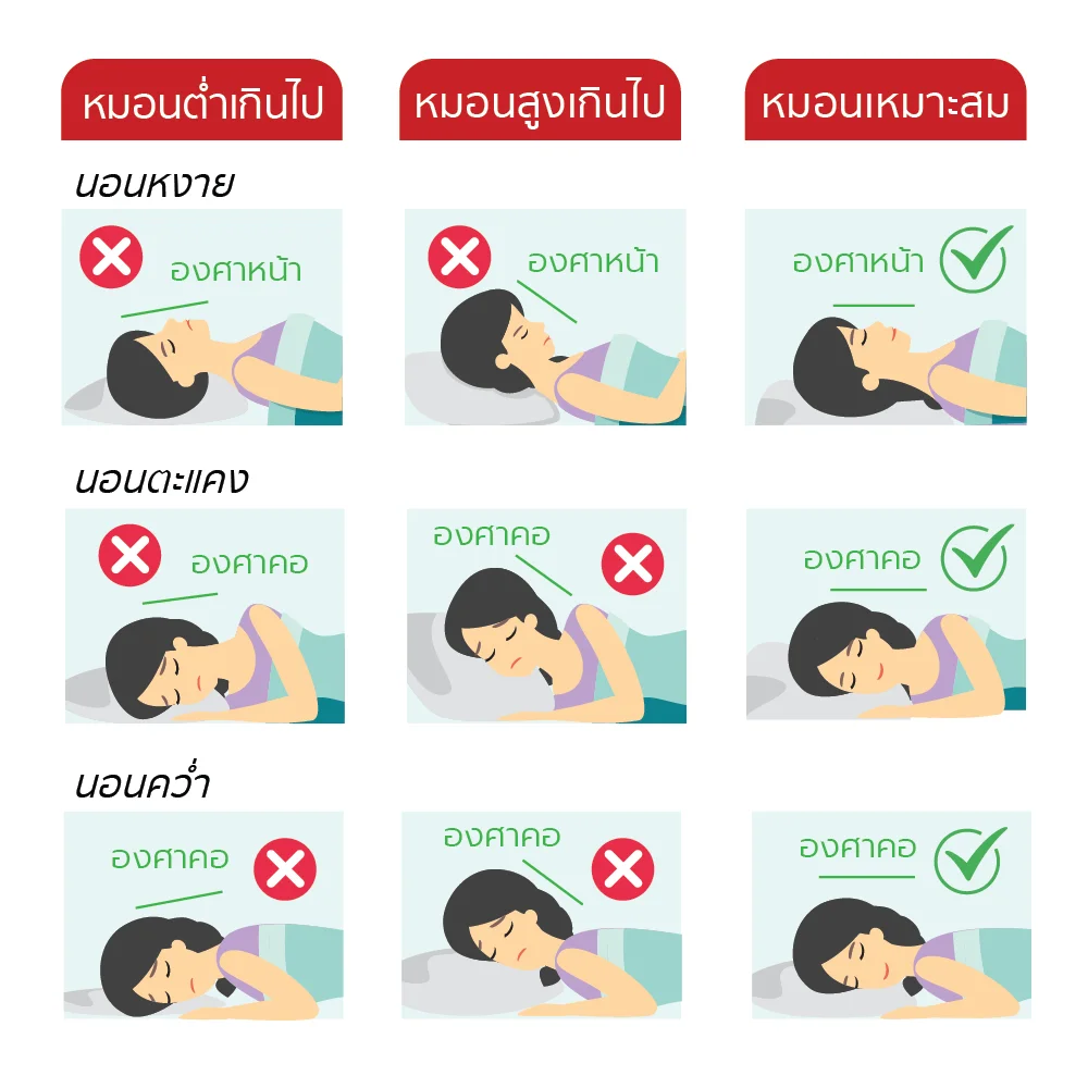 ระดับการนอนที่ถูกต้อง