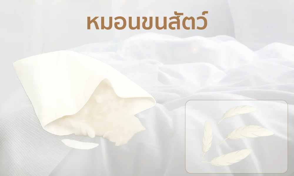 หมอนขนสัตว์