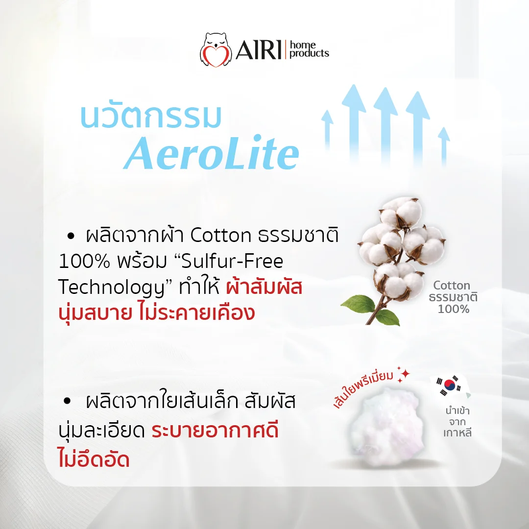 รูปหมอนรองคอ2